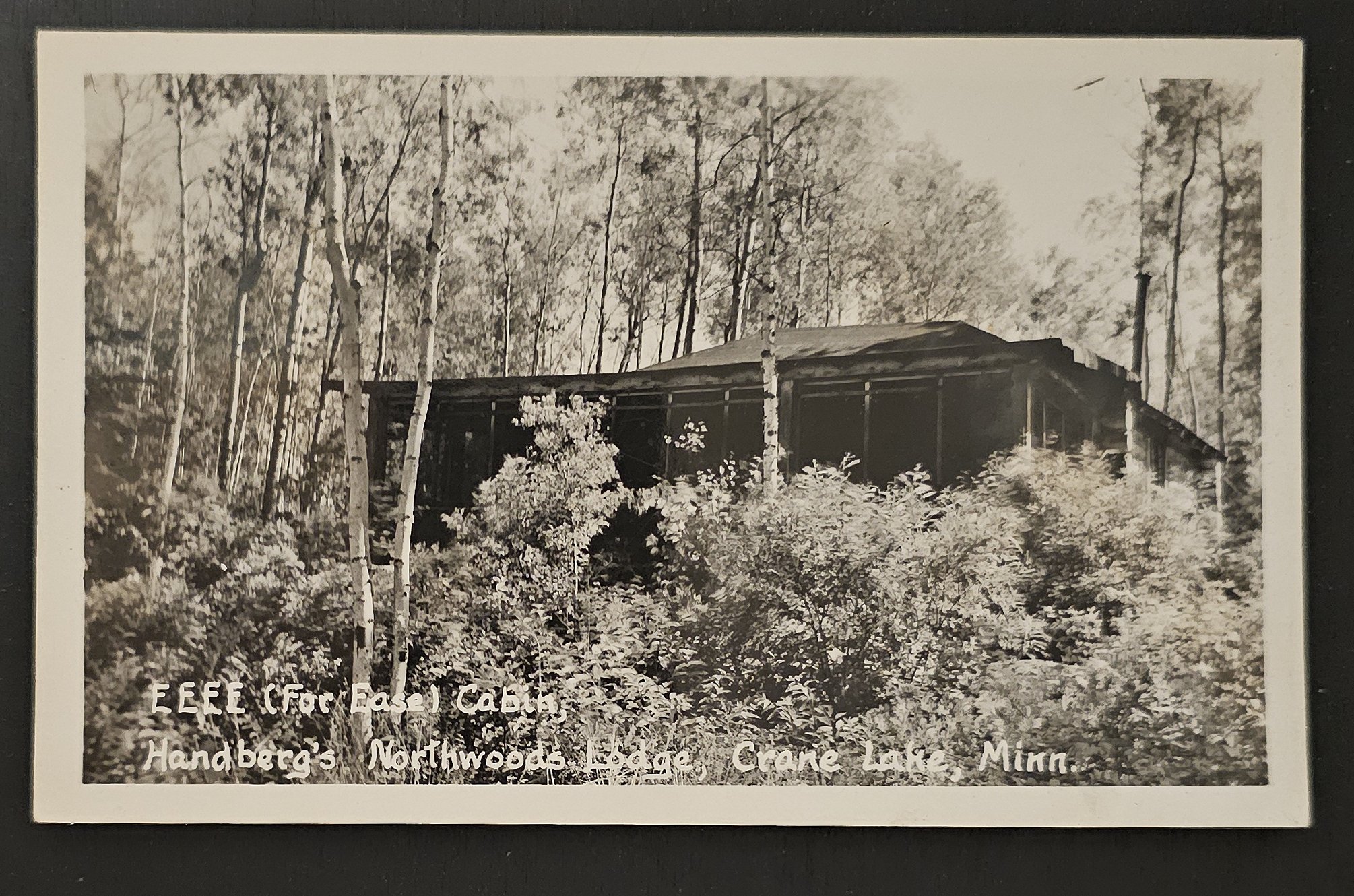 (image for) postcard USA - MN - Minnesota #0005